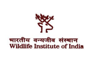 Wildlife Institute Of India Recruitment